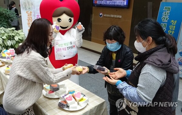 13일 전북 완주군 농촌진흥청 국립식량과학원에서 직원들이 화이트데이에 사탕 대신 쌀로 만든 백설기 나눔 행사를 열고 형형색색의 백설기를 선보이고 있다. /연합뉴스