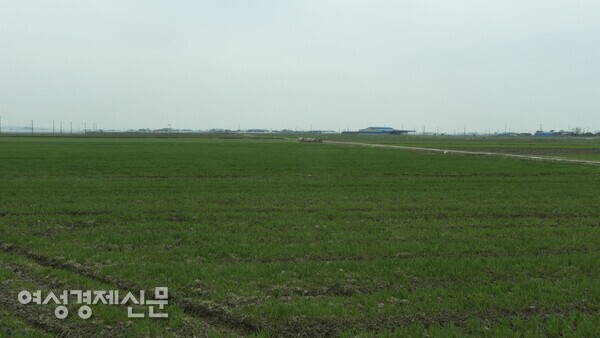 만경평야. 우리나라에서 유일하게 지평선을 볼 수 있는 곳 /사진=박재희