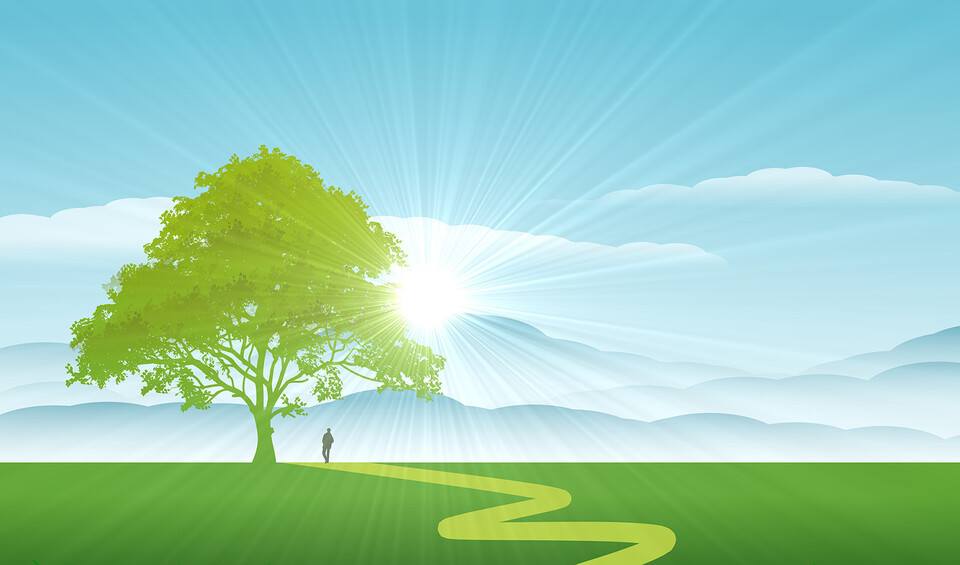 지혜를 지니면 세상에 무서울 게 없다. 지혜를 지닌 사람은 늘 여유가 있고 마음이 편하다. / 픽사베이