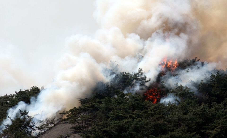 2일 오후 산불이 발생한 서울 종로구 인왕산에서 소방헬기가 진화 작업을 하고 있다. /연합뉴스
