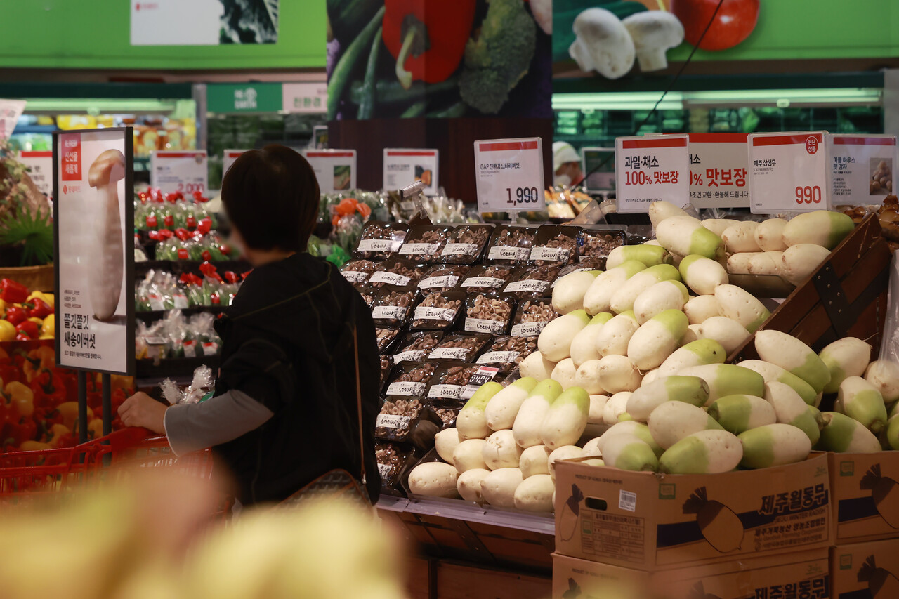 소비자물가상승률이 둔화하고 있지만 가격이 오른 품목 수는 383개(총 458개)에서 8개월 만에 395개로 늘어났다. /연합뉴스
