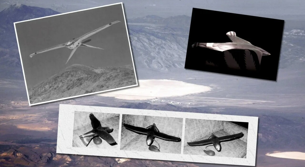 미국 중앙정보국이 냉전시대 사용한 아퀼린(Aquiline) 비행체 모습. 최근엔 곤충의 크기만 한 초소형 비행체를 정보수집 활동에 사용하는 것으로 전해진다. /CIA