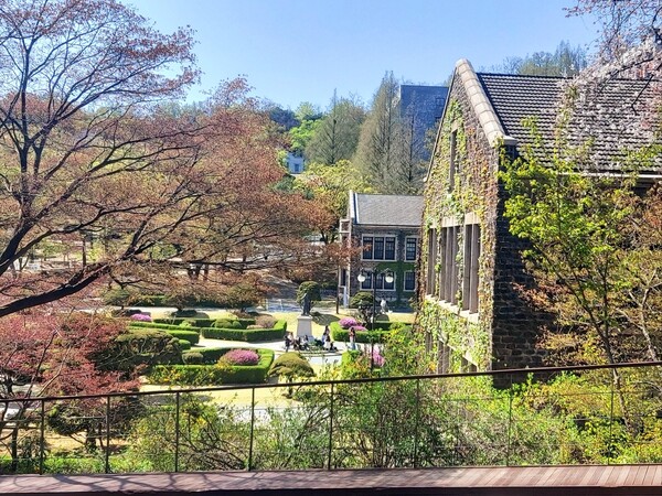 교문에 시작되는 백양로를 쭉 따라 걸어오면 마주하는 본관과 그 옆 건물들, 담쟁이 넝쿨 가득한 이곳이 학교에서 내가 제일 좋아하는 곳이다. /사진=김현주