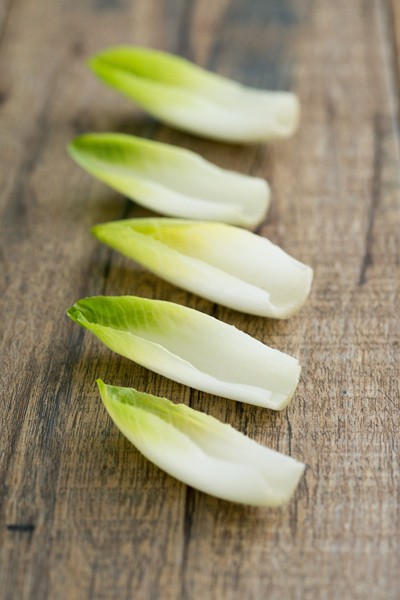 수도사의 턱수염 모양의 치콘(벨기에 엔다이브) / https://kr.freepik.com/premium-photo