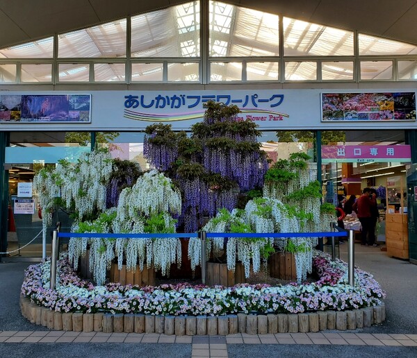 입구에 마련된 환영 코너 /사진=양은심