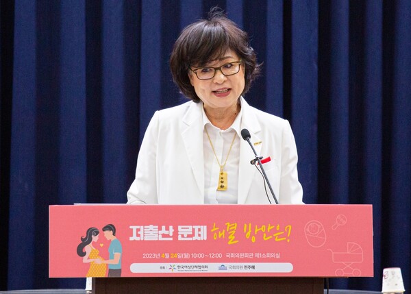 허명 한국여성단체협의회 회장이 ‘저출산 문제 해결 방안 대토론회’에 참석해 발언하고 있다. /한국여성단체협의회 