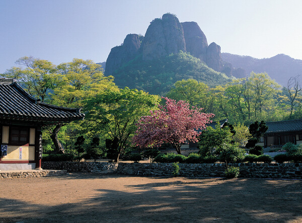 청송군은 시내버스가 무료라고 한다. 그러나 대낮 시간에도 좀처럼 버스가 오지 않았다. 결국 택시를 불러서 청송 터미널로 갔다. 사진은 청송군에 있는 주왕산 국립공원과 대전사 /게티이미지뱅크