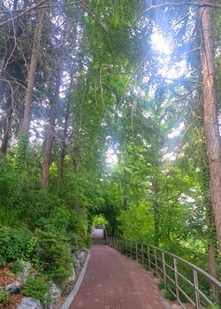 옆 동네 작은 공원으로 향해 본 주말 산책 이후 시간만 되면 밖으로 나서고 있다. /사진=김현주