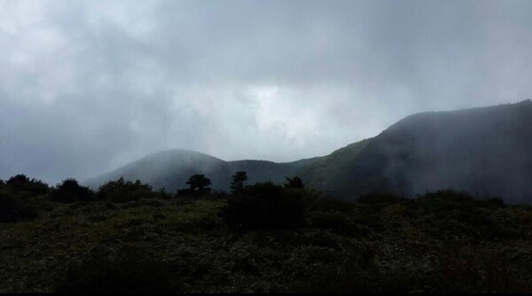 산의 세계든 세속적 일이든 정상으로 가는 오름길은 감당하기 너무 버겁습니다. 포기하고 싶어집니다. 감각기관들은 이번 등반을 포기하도록 유혹의 귓속말로 달콤하게 속삭입니다.  /사진=최익준