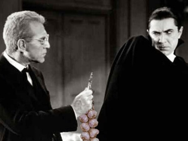 드라큘라 퇴치를 위해 사용된 마늘 /https://gardenprofessors.com/garlicvamp/