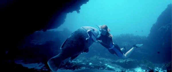 제20회 서울국제환경영화제 개막작 '블루백'. 에비와 그루피는 마음을 나누는 친구가 된다. /사진=서울국제환경영화제 홈페이지