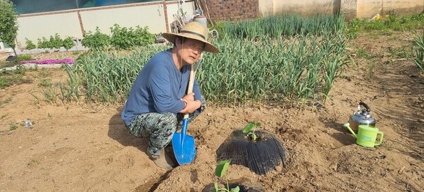 그런 그가 귀촌하였다. 서울서 살다가 충남 천안의 성환이라는 곳에 자리 잡았다. 오래된 집을 수리하고 조그맣게 텃밭을 장만하였다. 아침이면 이슬이 채 마르지 않은 텃밭에 나가 일을 한다. /사진=김성주