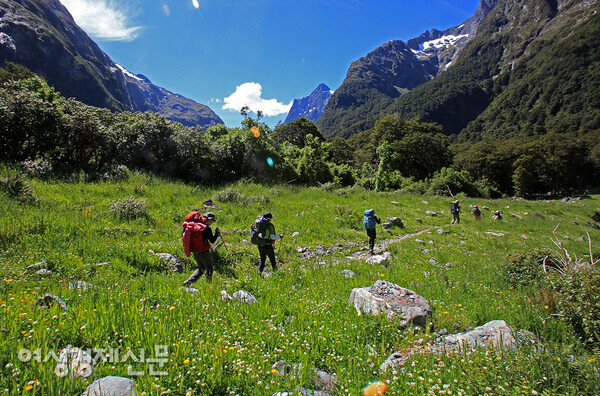리셋을 외치며 밀포드 트랙을 걷는 반지원정대 /사진=박재희