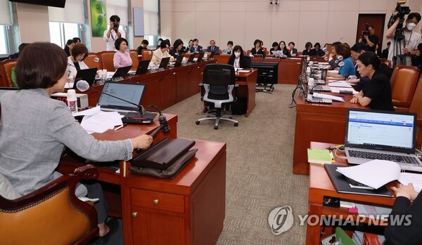 22일 국회 여성가족위원회에서 권인숙 위원장이 전체 회의를 진행하고 있다. /연합뉴스