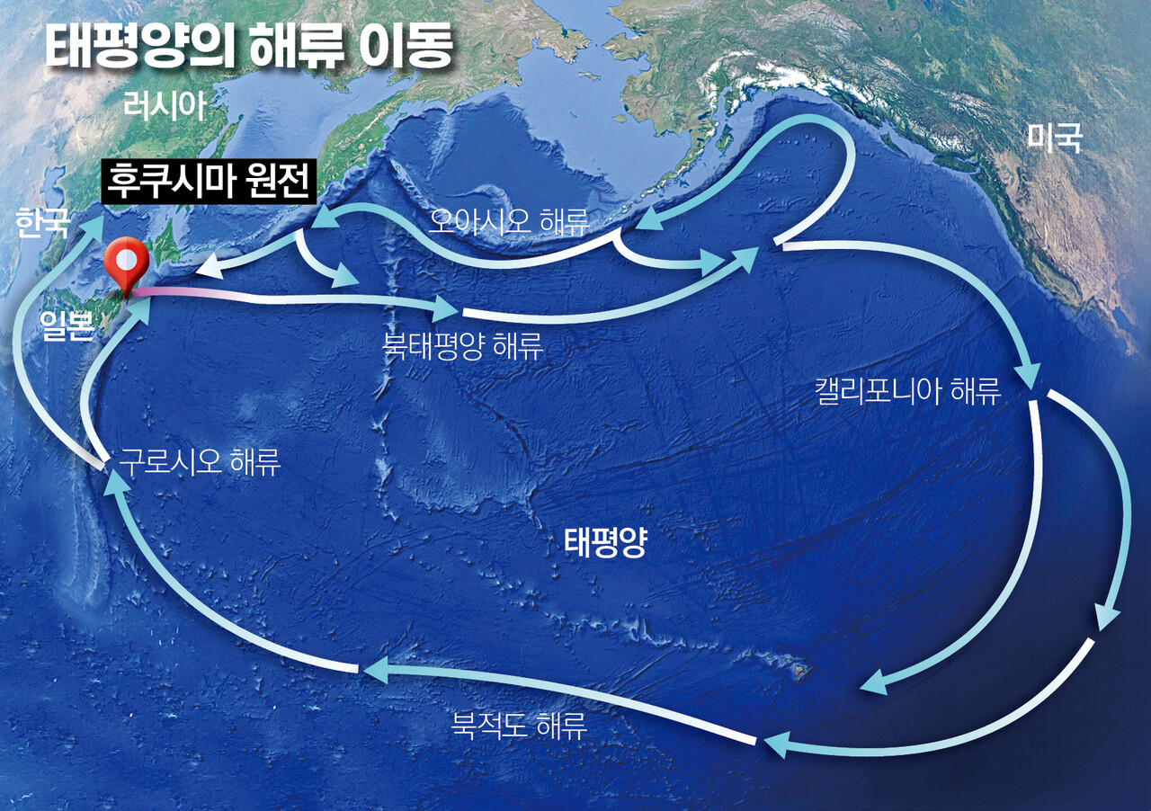 해류를 따라 미국 캘리포니아 연안에 가장 먼저 도달한 후 4~5년 뒤부터 동해안에 흘러들어온다고 가정할 때 평상시 바다에 존재하는 삼중수소 농도의 10만분의 1 수준이다. 위 그림에서 보듯이 후쿠시마 앞바다에 방류된 처리수는 해류를 따라 미국으로 먼저 향하게 된다. /여성경제신문