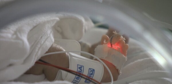 인큐베이터 안의 신생아 /연합뉴스