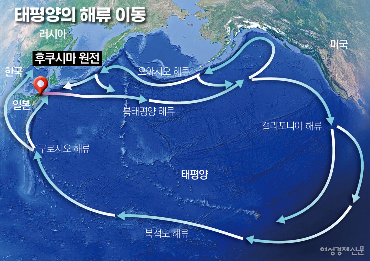 해양 방류는 알프스 기술로 시작해 바닷물 희석으로 완성된다. 방류 후 2~3km 지점에서는 매우 약한 방사성 물질(빗물)을 함유한 처리수 상태가 되고, 해류를 따라 북미에 먼저 도달 후 4~5년 후 우리 해안에 도달하게 된다. /여성경제신문
