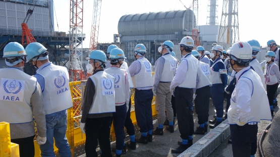 일본 정부는 2021년 4월 13일 알프스 처리 과정을 통한 해양 방류를 결정했다. 2018년 11월 IAEA는 일본의 중장기 로드맵에 대한 국제적인 동맹 검토를 진행했으며, 이때 IAEA 팀(IAEA 소속 9명, 인도네시아, 러시아, 영국, 미국 등 총 13명의 고위전문가)이 참여했다. /IAEA