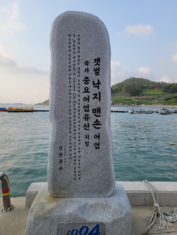 갯벌 낙지 맨손어업은 국가 중요어업유산으로 지정되었다. [사진:김성주]