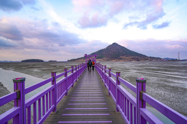 섬 전체가 온통 보랏빛이라 퍼플 아일랜드라 불리는 박지도(사진)와 반월도는 보랏빛의 테마파크이다. 지붕, 벽, 도로, 자동차가 보라색으로 칠해져 있고 식당의 그릇도 보라색이다. /게티이미지뱅크