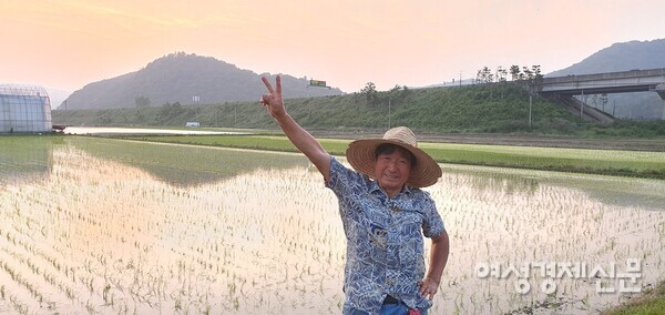 모내기가 끝난 논에서 필자 /사진=정진권