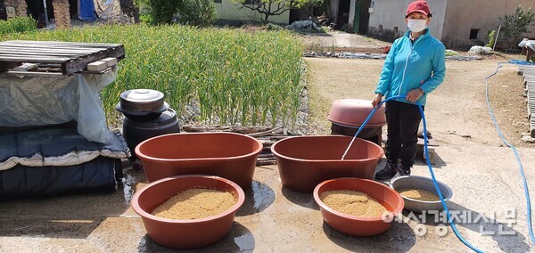 모내기의 첫 과정인 볍씨를 씻고 있다. /사진=정진권