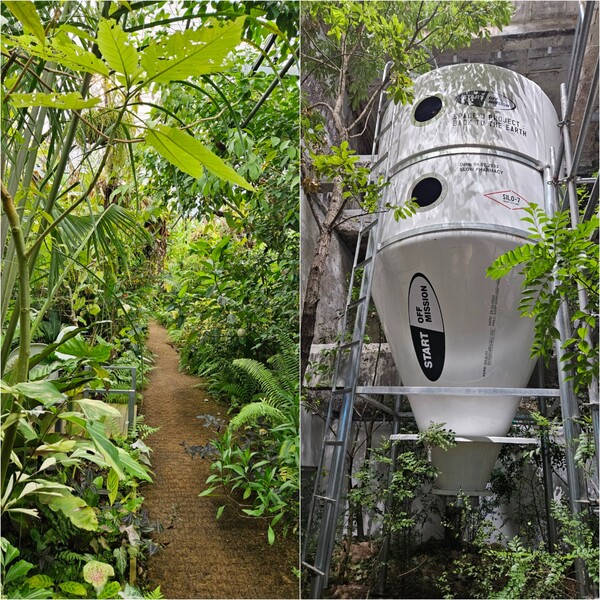 파주의 대형 원예농원 조인폴리아(왼쪽)와 슬로우파마씨의 팝업 전시 ‘Space O Project, Back to the Earth’(오른쪽). /사진=김현주