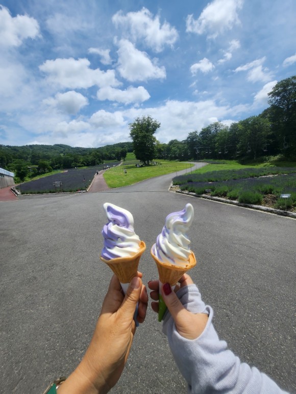 라벤더와 바닐라 맛의 소프트크림을 들고 우리가 반해버린 커다란 나무를 배경으로 기념촬영했다. /사진=양은심