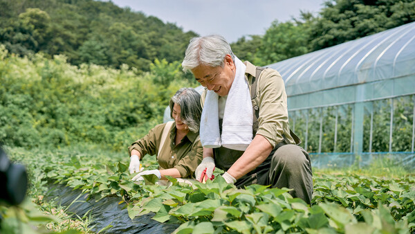 사업계획서에는 연차별 자원 투입 계획과 구체적 수익에 대한 예측이 있어야 한다. 손익을 추정하고, 자금 조달 계획도 있어야 한다. /게티이미지뱅크