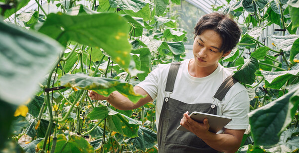 귀농자는 농사를 전업으로 하는 사람이기 때문에 작물 선정과 더불어 영농에 대한 경영전략을 수립하고 시작해야 한다. 작물의 시장성, 유통 상황, 수입농산물 대체 여부, 지난 3년간의 가격 동향 등을 살피면서 가야 한다. /게티이미지뱅크