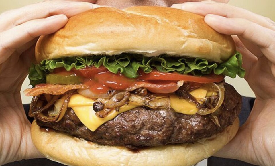 고지방 음식 햄버거 /게티이미지뱅크