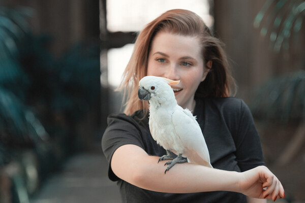 앵무새 질문은 상대의 말을 그대로 인정하고 공감하는 말이다. 앵무새 질문을 하면 상대가 마음을 여는 것을, 상대와 부드럽게 연결되는 것을 경험할 수 있다. /게티이미지뱅크