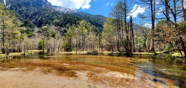 '타시로이케'라는 연못. 물이 이렇게 투명할 수도 있나 감동했다. /사진=양은심