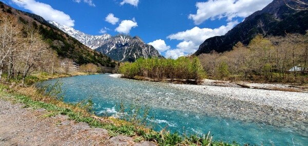 아직 잎이 나지 않은 나무들이 많았다. 표고 1500m의 5월 초순은 초봄인 듯 했다. /사진=양은심