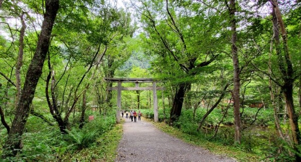 사진의 도리이를 통과하여 들어가면 산장이 나오고 묘진이케가 나온다. /사진=양은심
