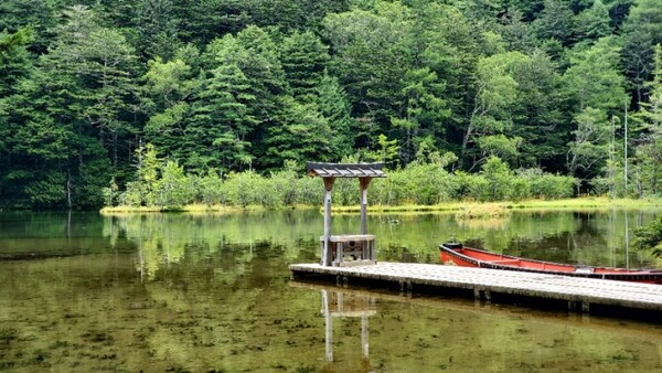 다른 각도에서 찍은 도리이 /사진=양은심