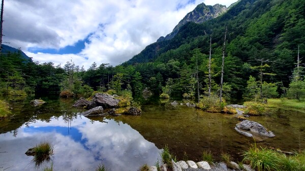 묘진이케 제2 연못이다. /사진=양은심