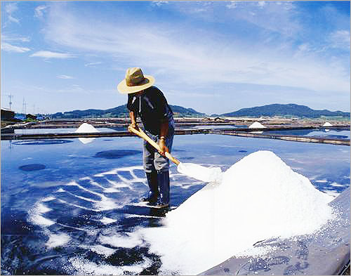 미네랄이 풍부한 한국의 신안 천일염 /http://www.siminsori.com/news/articleView.html?idxno=64078