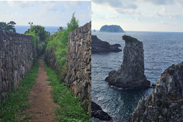 큰길에서 집으로 들어가는 골목길을 뜻하는 ‘올레’길에는 마을, 해안, 숲이 아름답게 어우러져 있다. /사진=김현주