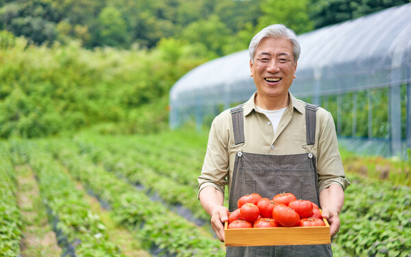 고객 만족에서 가장 좋은 서비스는 기대하지 않은 서비스를 말하는데 농촌에서는 실천하고 있다. 시골집에 가서 잠시 앉아만 있어 보라. 할머니들이 뭐라도 하나 더 주고 싶어 한다. /게티이미지뱅크