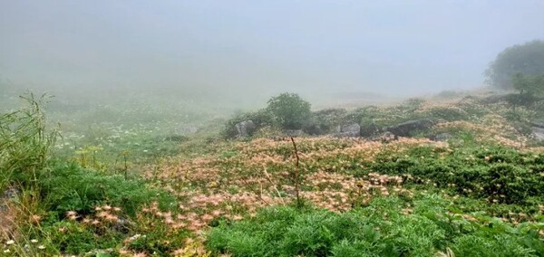 악천후고 뭐고 오길 잘했다고 생각하게 만든 풍경. /사진=양은심