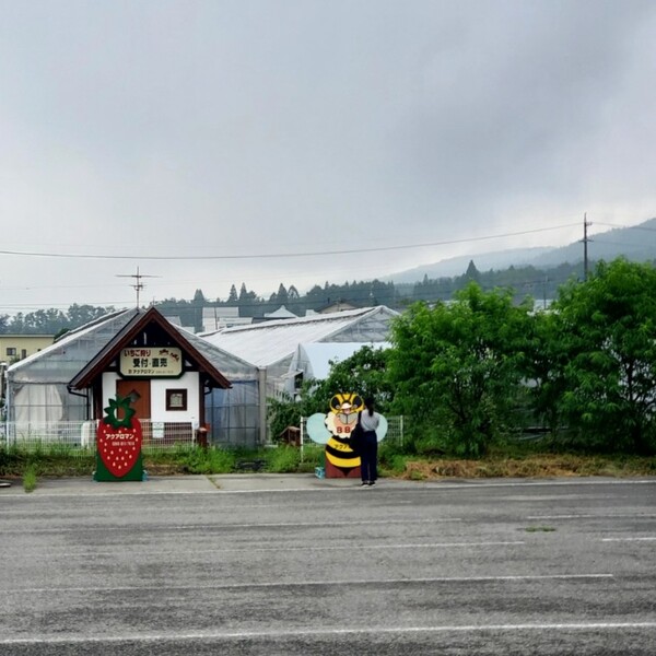 어린 딸과 참가한 일행의 모습에 자꾸 눈이 갔다. 도시락을 받으러 들른 식당 마당에서 /사진=양은심