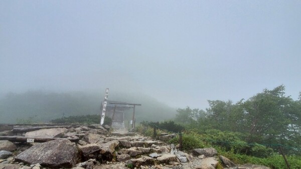 신사조차도 안개에 싸여 잘 보이지 않았다. /사진=양은심