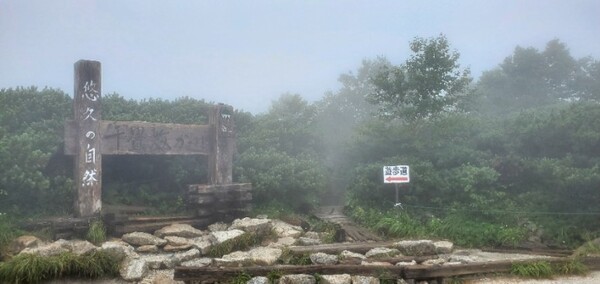 위 사진에 있는 간판 맞은편에 있는 안내판 /사진=양은심