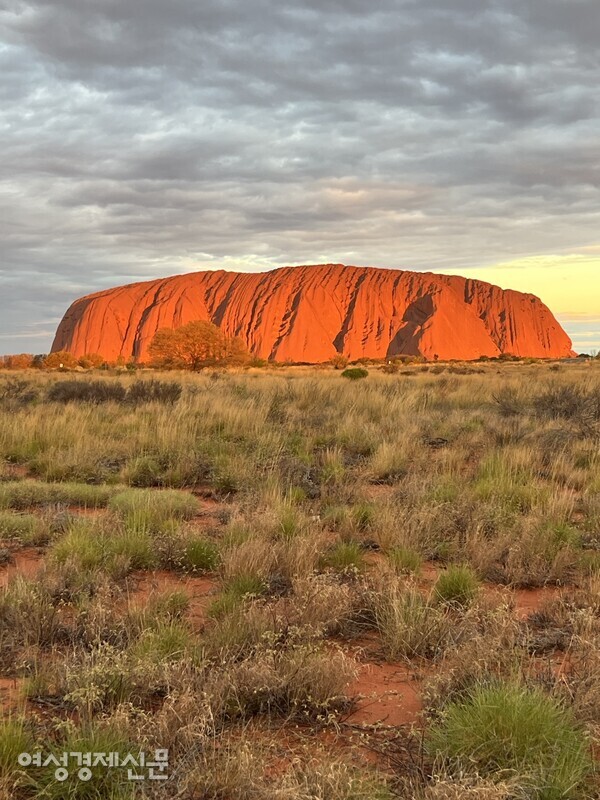 해가 지는 모습의 울룰루(Uluru) : 호주 한가운데 있는 거대한 바위 울룰루는 세상의 중심, 지구의 배꼽이라고 불린다. /사진=박재희