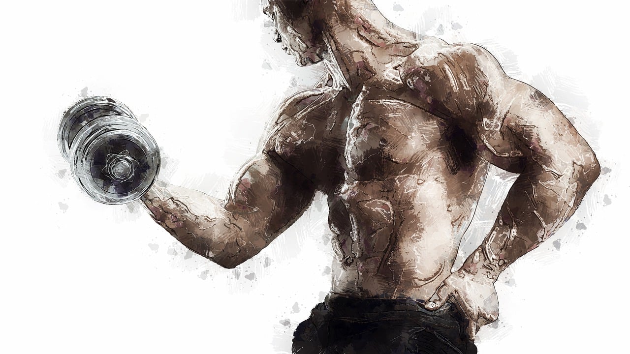 최근 심미성이 뛰어나고 건강한 몸을 만들어 이를 기록하는 ‘바디프로필’ 문화가 퍼지고 있다. 하지만 바디프로필 촬영 이후 건강 이상을 겪는 사람들도 많다. /픽사베이