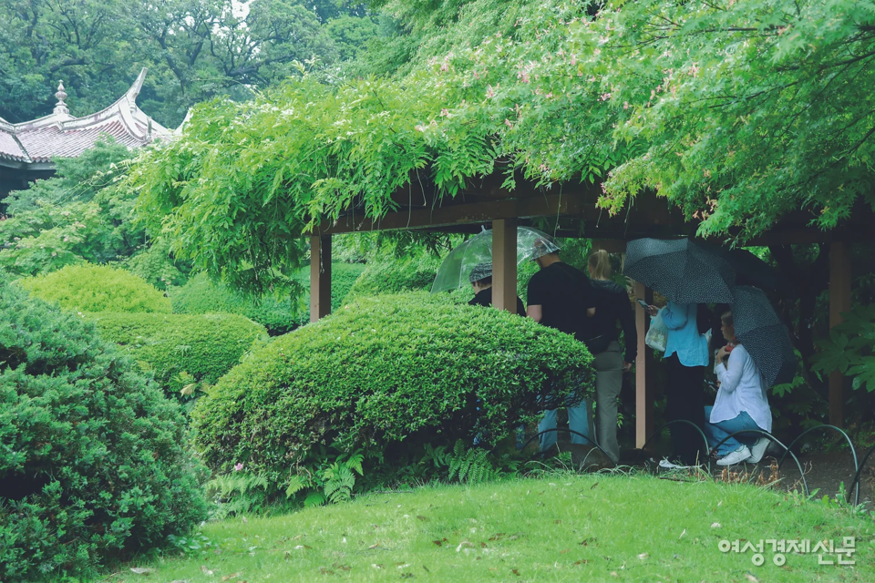 '언어의 정원'에서 주인공들이 서 있던 정자 아래, 외국인 관광객들이 몰려있다. /김도연