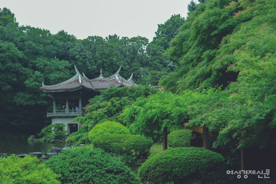 나무 뒤로 보이는 왼편의 건축물은 '구 고료테이'라고 한다. /김도연