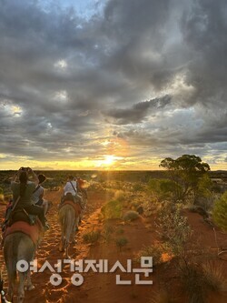 낙타를 타고 해질녁 울루루를 바라보는 투어상품도 인기가 있다. /사진=박재희