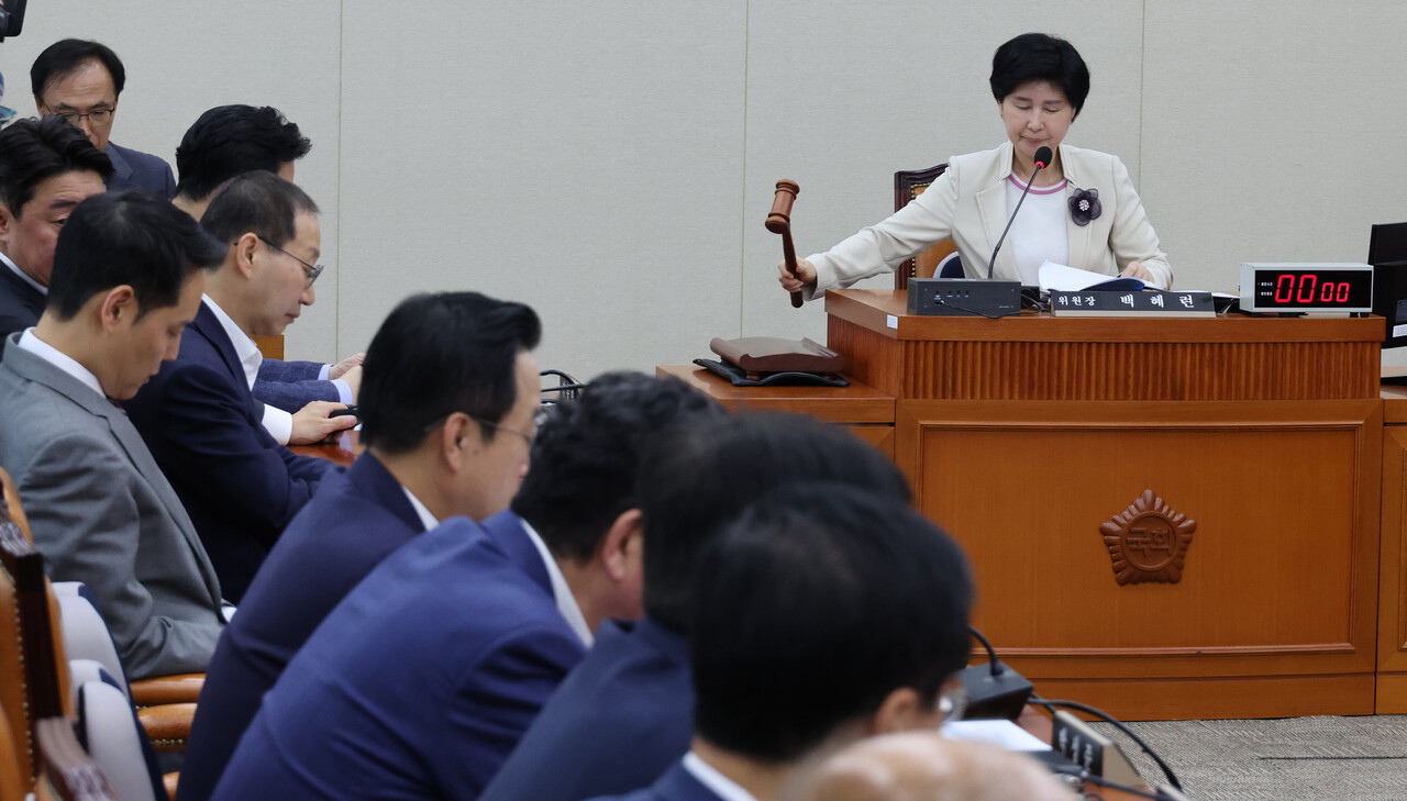 4일 국회 정무위원회에서 백혜련 위원장이 전체회의를 진행하고 있다. /연합뉴스